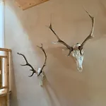 Apartamento Forsthaus Am Feuerbach *