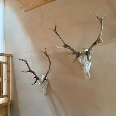 Apartament Forsthaus Am Feuerbach *