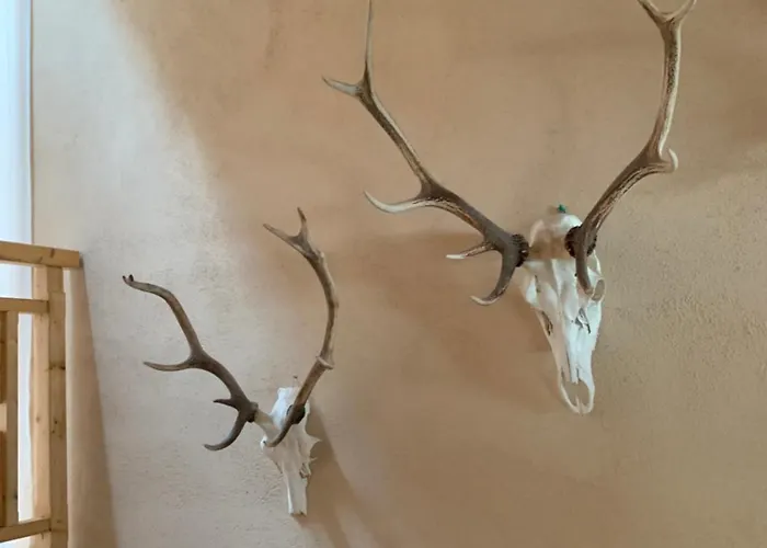 Apartment Forsthaus Am Feuerbach *